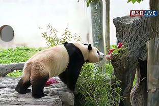 雷电竞在哪里下载